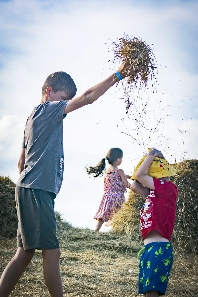 Boy lifting a handful of hay while two children play on a straw-covered hill